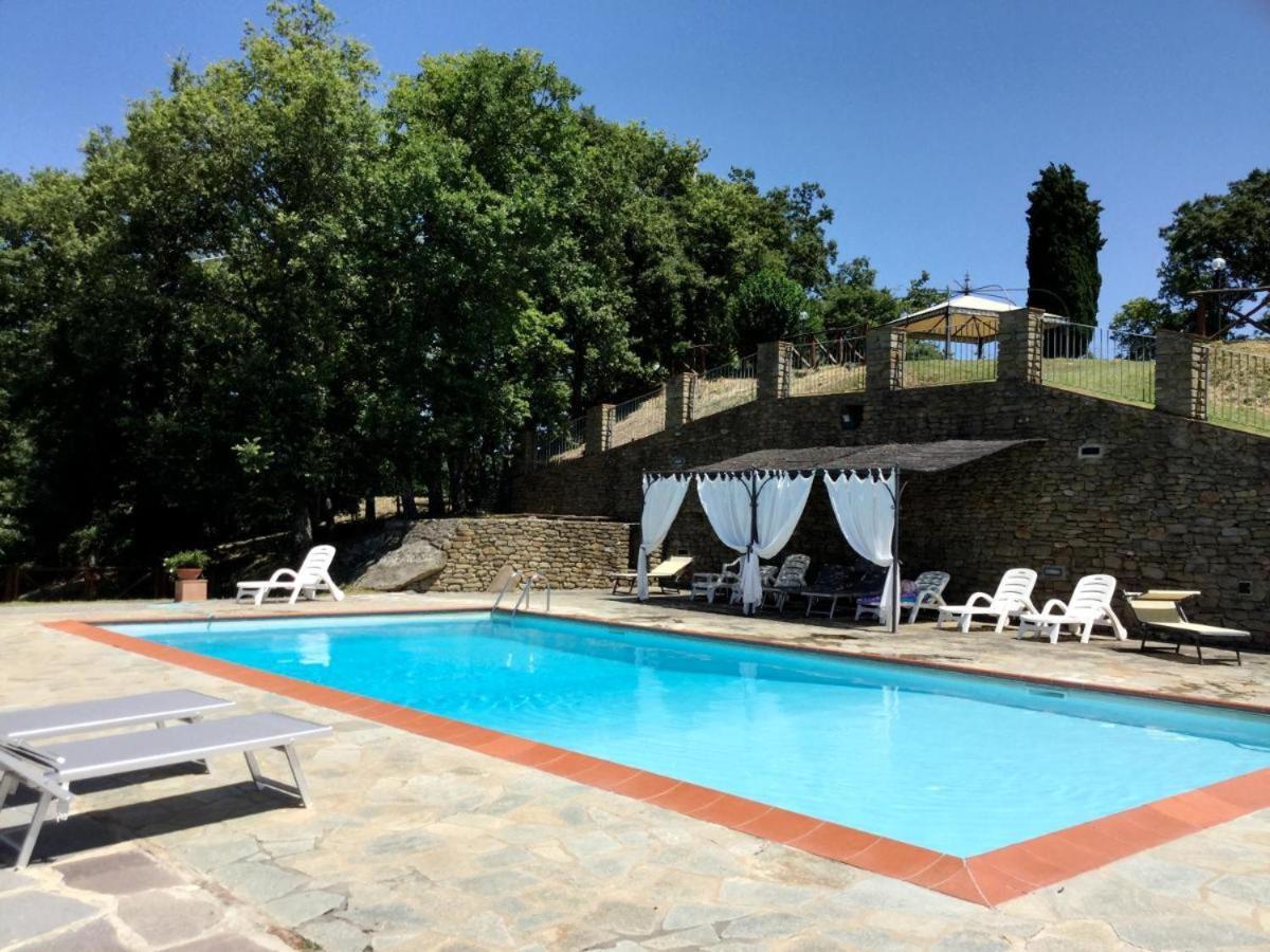 Agriturismo Badia Ficarolo Palazzo del Pero Dış mekan fotoğraf