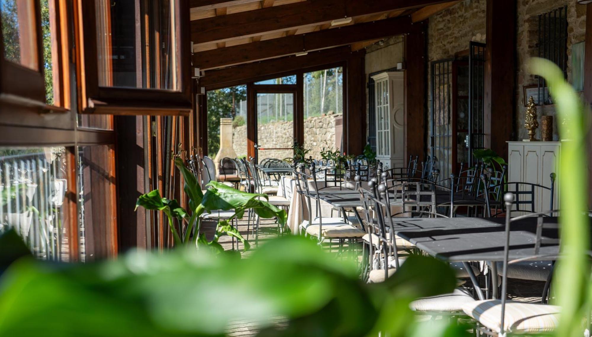 Agriturismo Badia Ficarolo Palazzo del Pero Dış mekan fotoğraf
