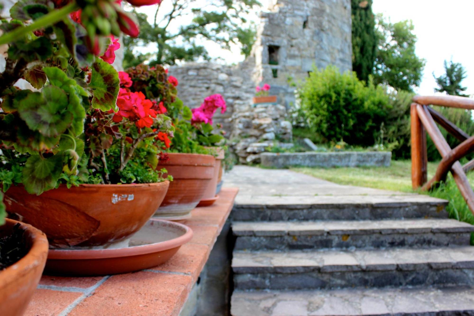 Agriturismo Badia Ficarolo Palazzo del Pero Dış mekan fotoğraf
